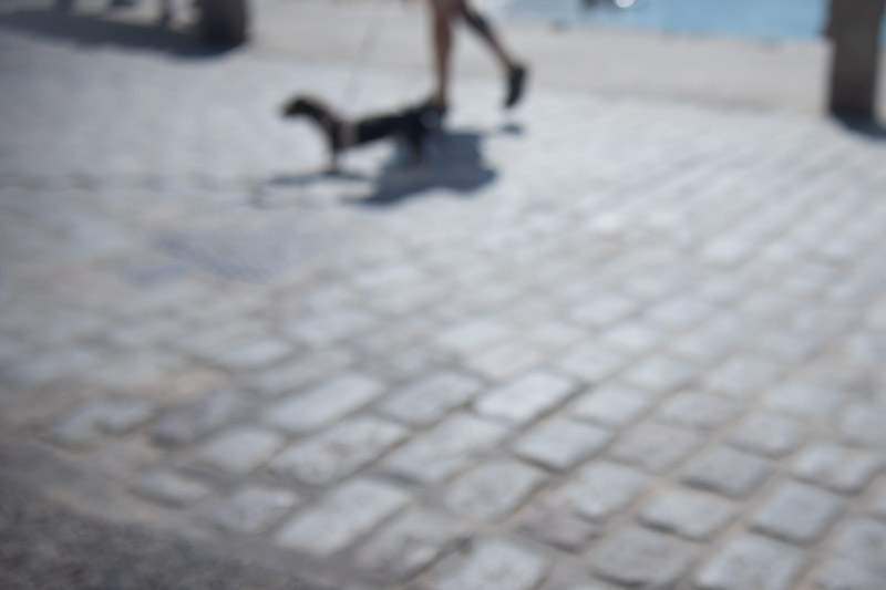 Summer Blog post 2025 14